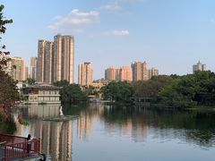 -荔湾湖公园