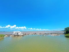-上海吴淞炮台湾国家湿地公园