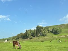 -新疆那拉提国家旅游度假区