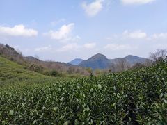 -达蓬山旅游度假区