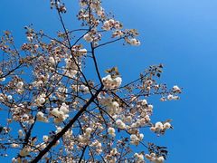 -西北湖绿化广场