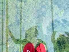 -南丹山森林王国