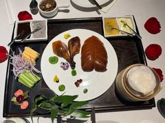 -梧桐