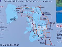 -溱湖国家湿地公园