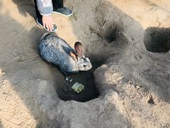 -前小桔亲子创意农场·草莓采摘·露营烧烤