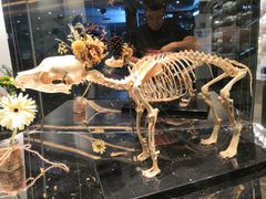 -植物学家的女儿(北马道巷店)