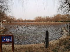 -廊坊市自然公园