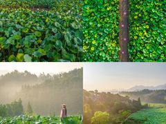 -清漾毛氏文化村