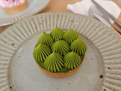 抹茶挞-猫里有甜