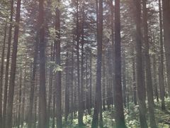 -芦芽山旅游度假区