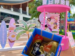 -三亚红色娘子军演艺公园景区