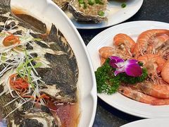 -前海沿·青岛菜(大拇指广场石老人店)