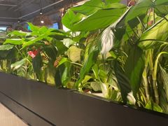 -管氏翅吧(台湾街店)
