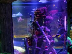 -沈阳海洋探索中心