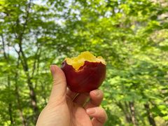 -吉林拉法山