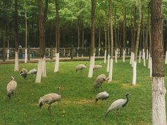-艾溪湖湿地公园