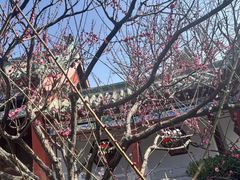 -开封包公祠