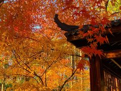 -凤凰沟景区