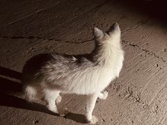 -鬼笑石后山停车场
