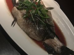 -夜上海(新天地店)