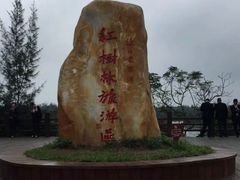 -东寨港红树林旅游区