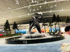 -青岛胶东国际机场