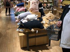 -九木杂物社(恒隆广场店)