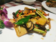 干烧野山菌-邓丽君音乐主题餐厅