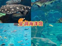 -长鹿旅游休博园