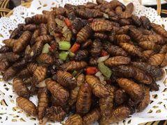 -农家小院(朱雀桥店)