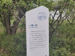 -协和菜馆(凤凰街店)