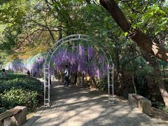 -宝岩生态观光园