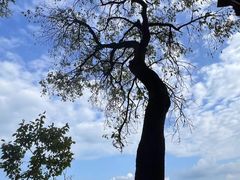 -天台山赤城山景区