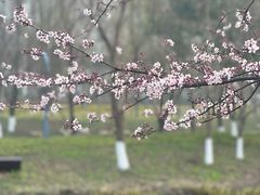 -洋湖国家湿地公园