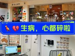 -立德异宠动物医院.兔鸟爬.内窥镜(天河店)
