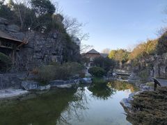 -上海吴淞炮台湾国家湿地公园