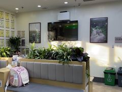 -美联众合动物医院·24h转诊中心