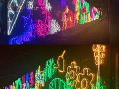 -南宫五洲植物乐园