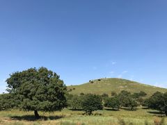 -五角枫生态旅游景区