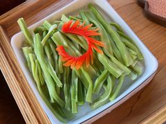 贡菜-酒城大贰火锅旗舰店