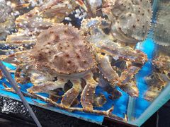-徐记海鲜(大明宫|北二环店)