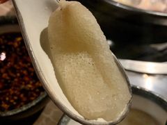 -同仁四季椰子鸡(海岸城天利店)