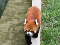 -水上乐园·欢乐世界