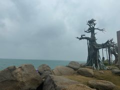 -海南分界洲岛旅游区