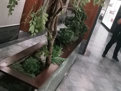 -天天鱼港·海鲜·鲅鱼水饺·招牌烤鸭(黄骅店)