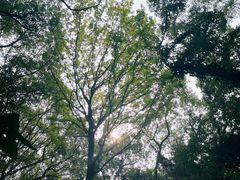 -上海市保健医疗中心