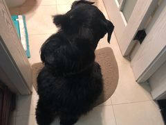 -唯美宠物生活馆(绿地国际生态城店)