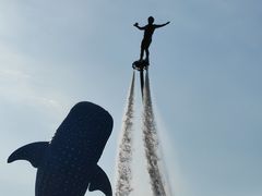 -珠海长隆海洋王国
