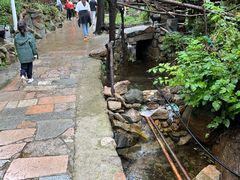 -大岭沟猕猴桃谷风景区