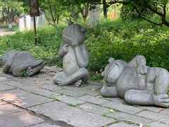 -西溪国家湿地公园